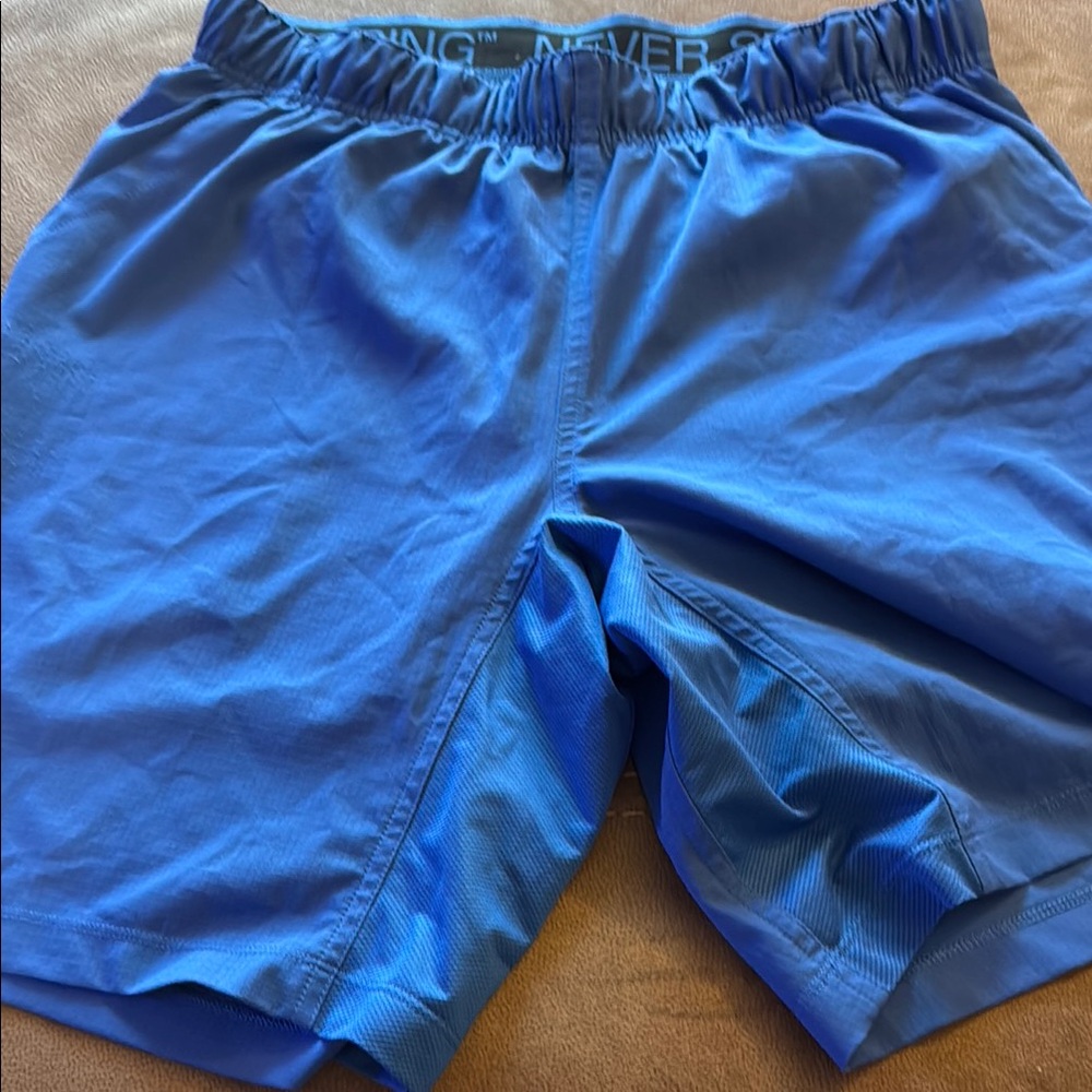 The North Face Blue Athletic Shorts Medium - Picture 3 of 6